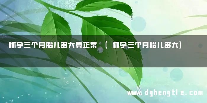 怀孕三个月胎儿多大算正常 (怀孕三个月胎儿多大)